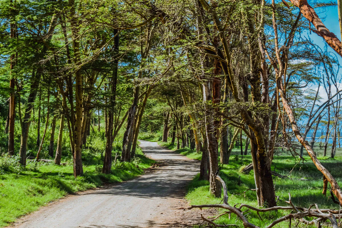 naivasha-esim-guide