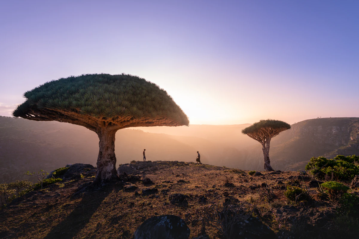 socotra-esim-guide