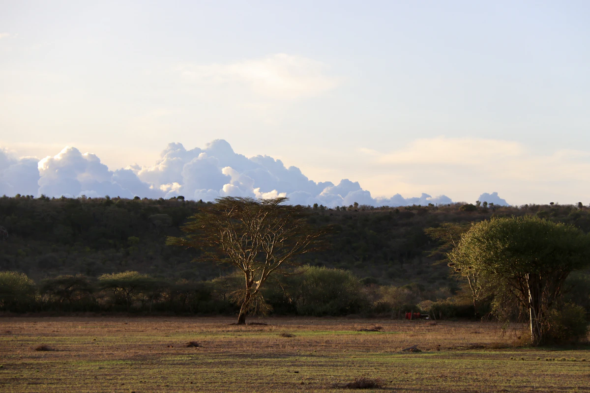 nairobi-esim-guide