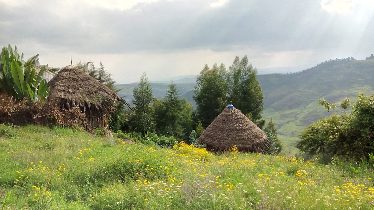 bahir-dar-esim-guide