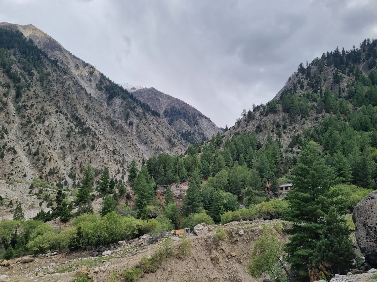 gilgit-esim-guide