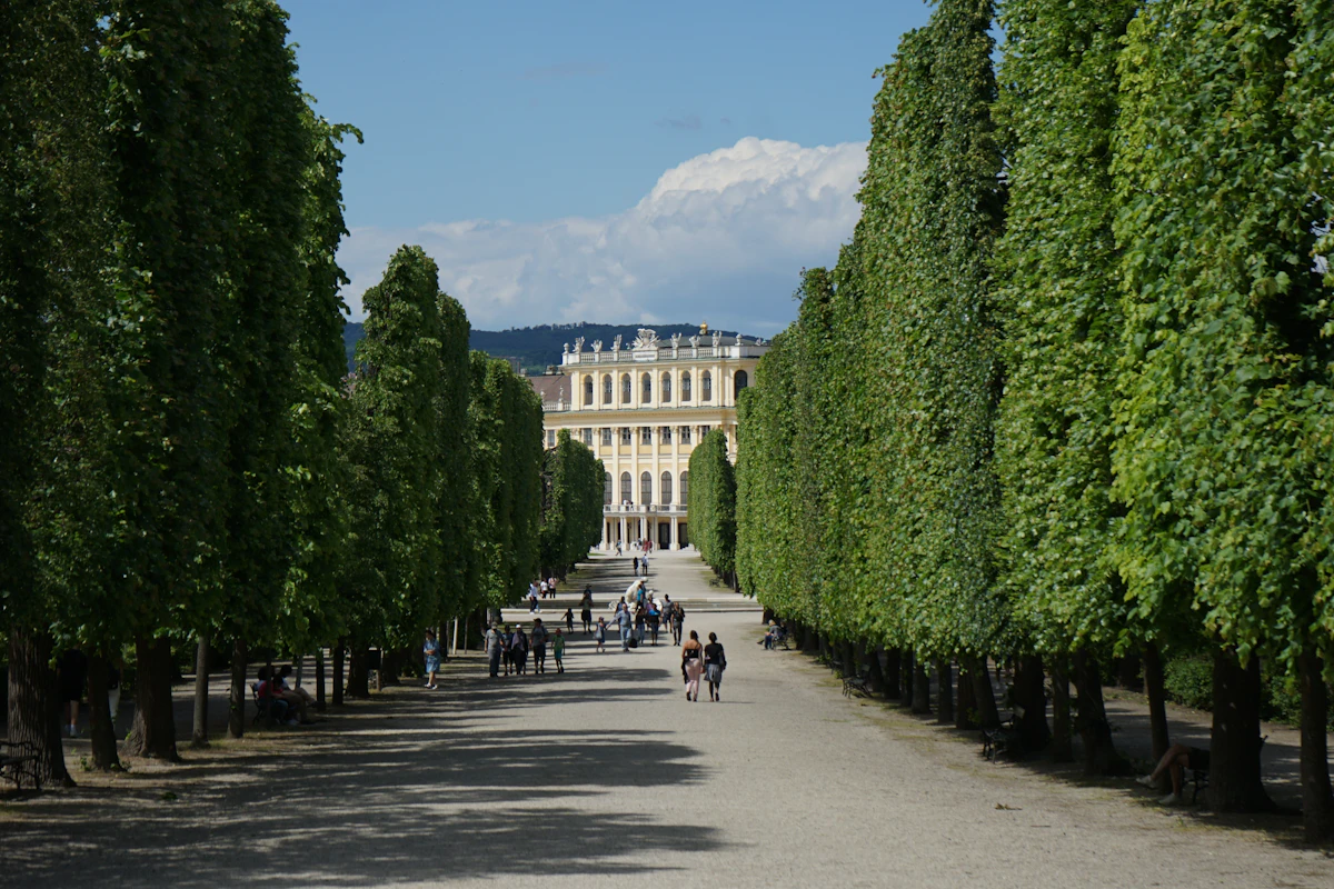 vienna-esim-guide