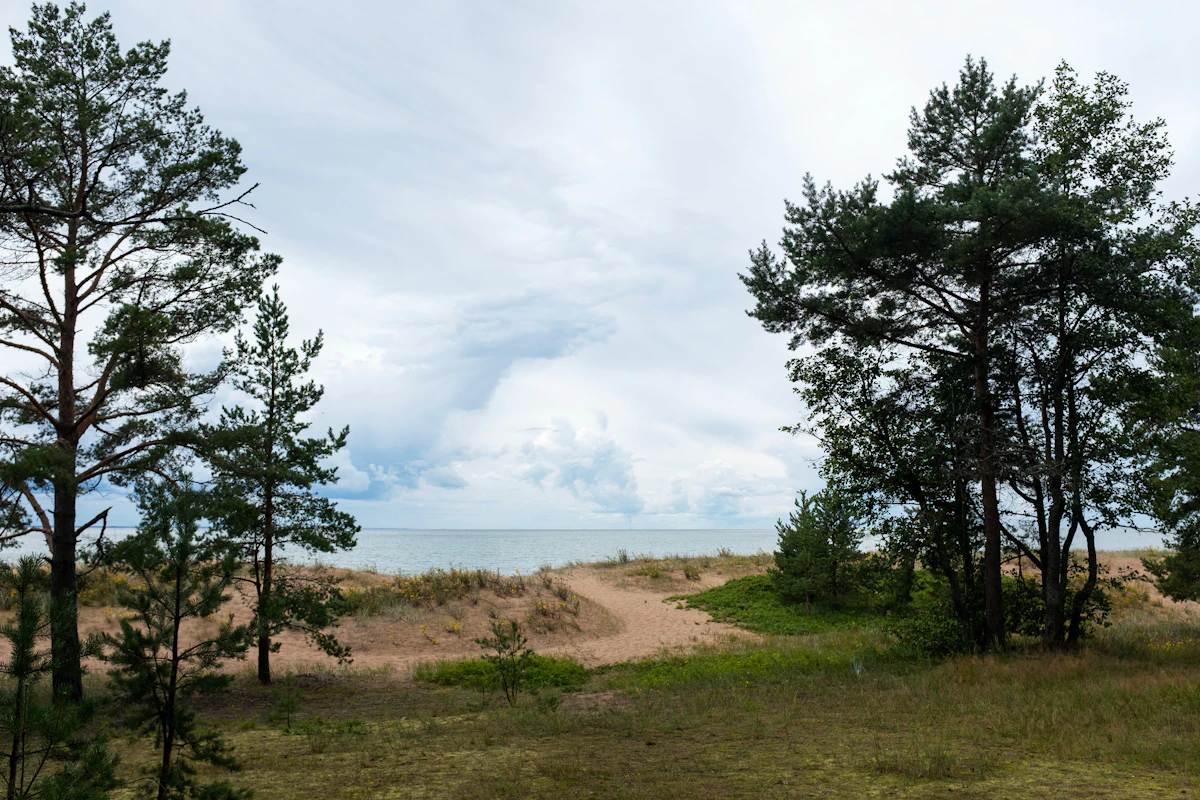 saint-petersburg-esim-guide