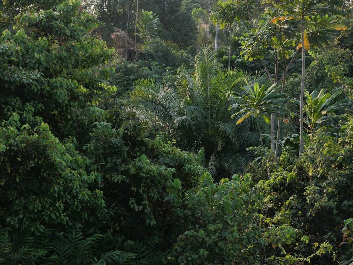 libreville-esim-guide