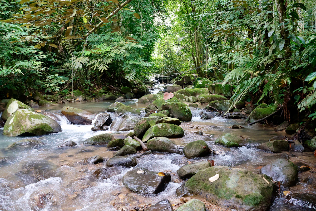 kota-kinabalu-esim-guide